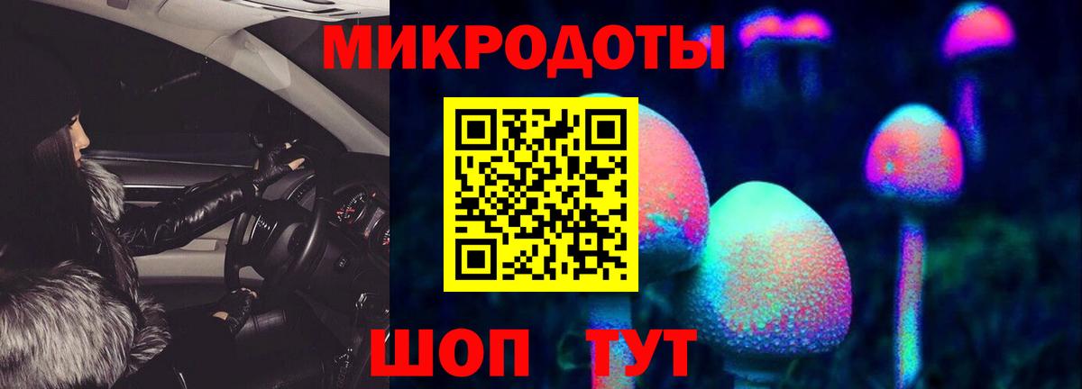 Псилоцибиновые грибы MAGIC MUSHROOMS Осинники