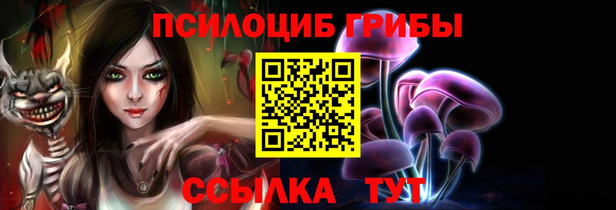 Осинники  Псилоцибиновые грибы Magic Shrooms  Вход с VPN 